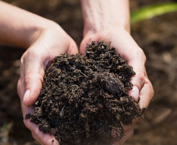 Fake Compost is Dangerous and How to Detect it